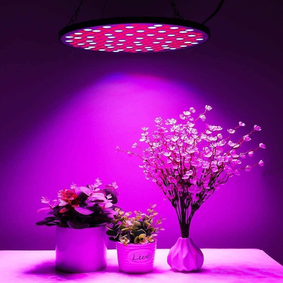 Panneau led culture