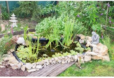 bassin jardin
