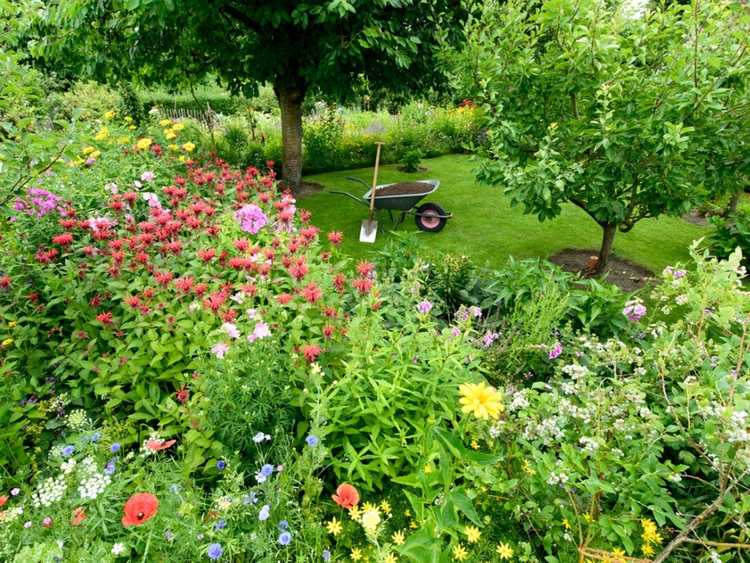 jardin naturel
