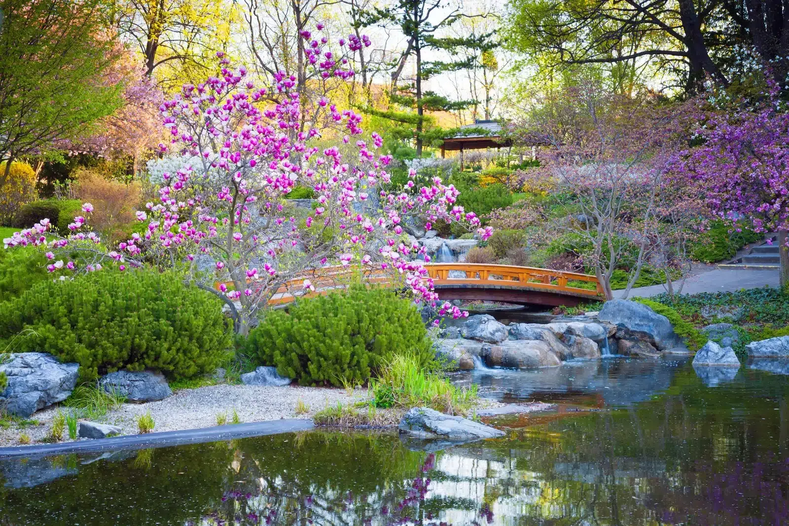 jardin zen